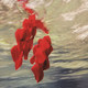 Image for article titled May Anthropologie Catalog: Totally Watered Down